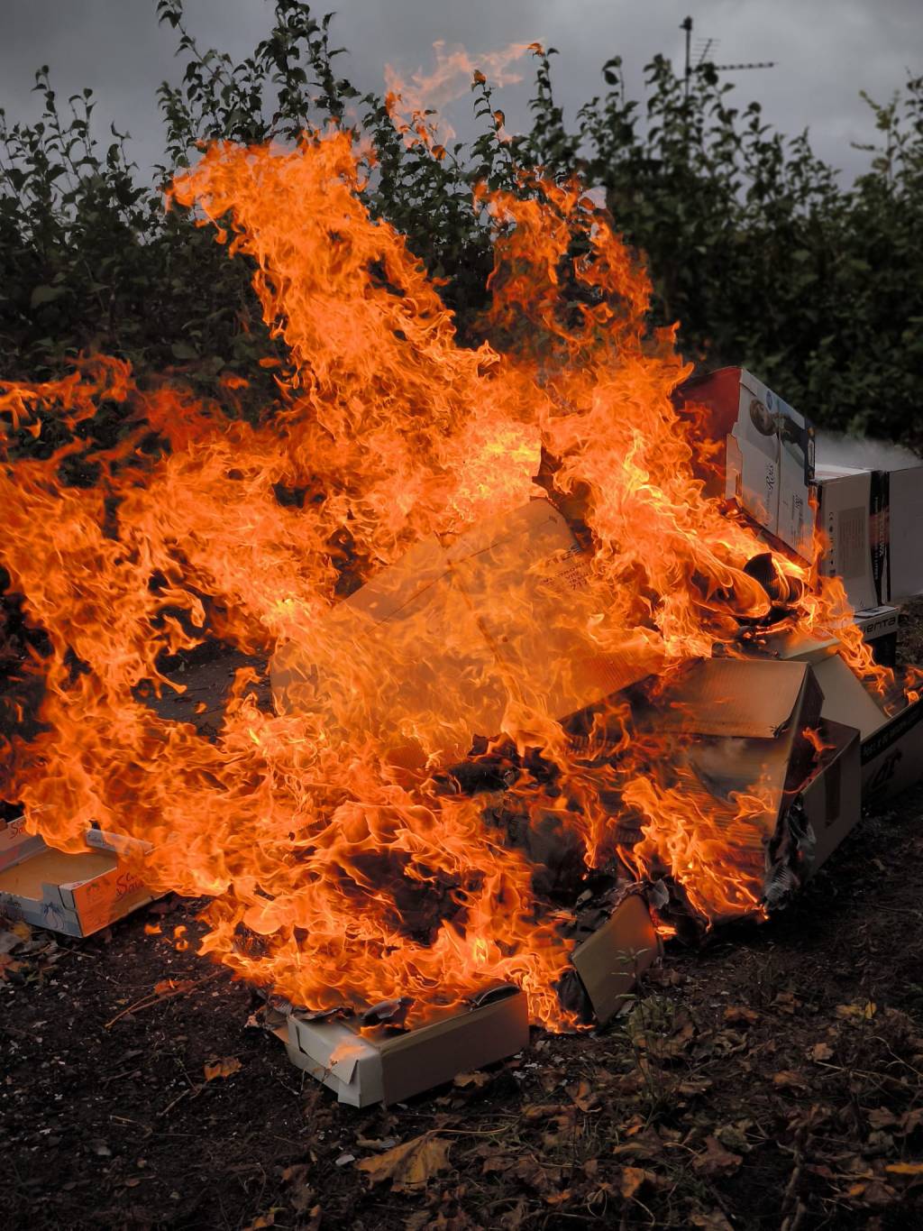 Écobuage et incinération de végétaux, Brûlage de végétaux, Feux de loisirs : ce qu&rsquo;il faut savoir&nbsp;!